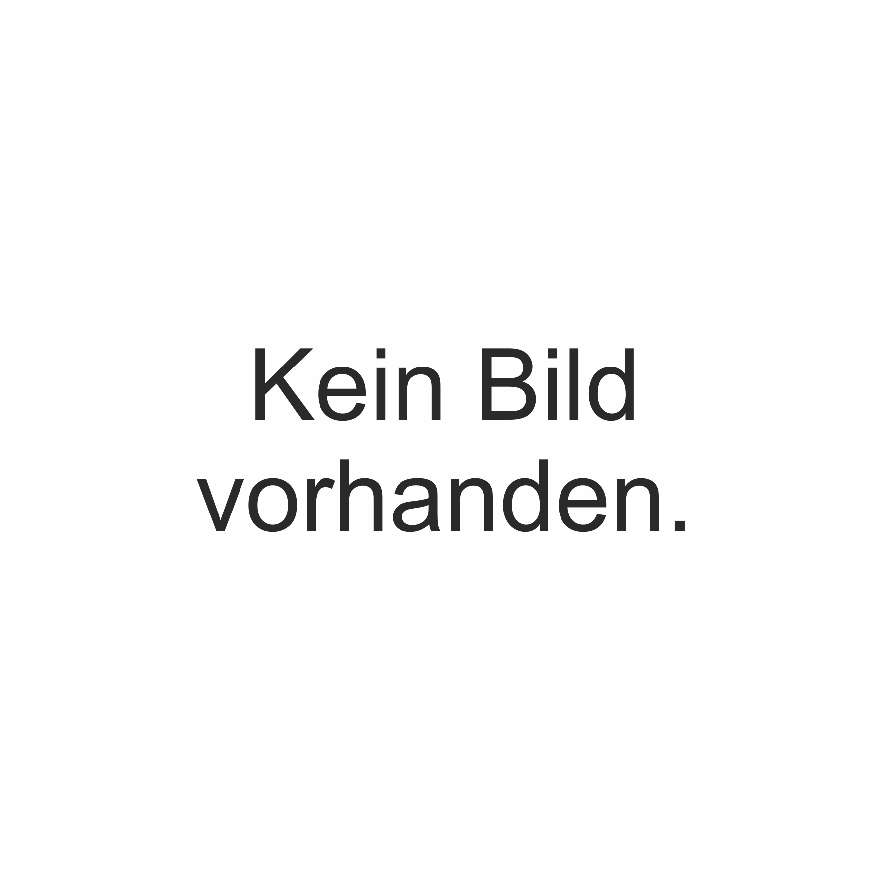 Druck für Koffertheke Budget I
